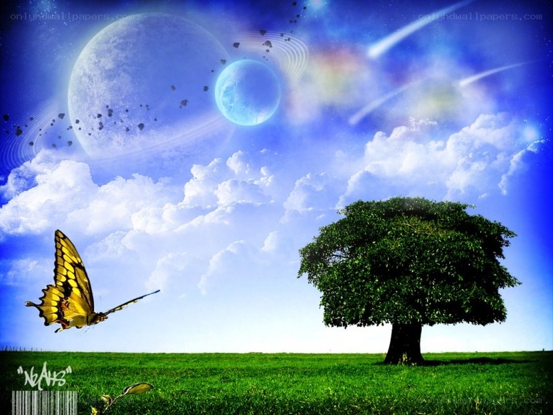 Fantasy landscape with tree and butterfly