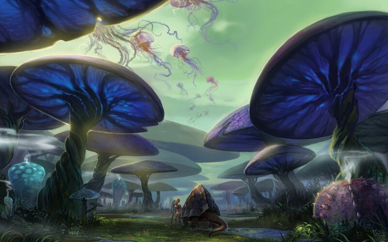 fantasy mushroom forest