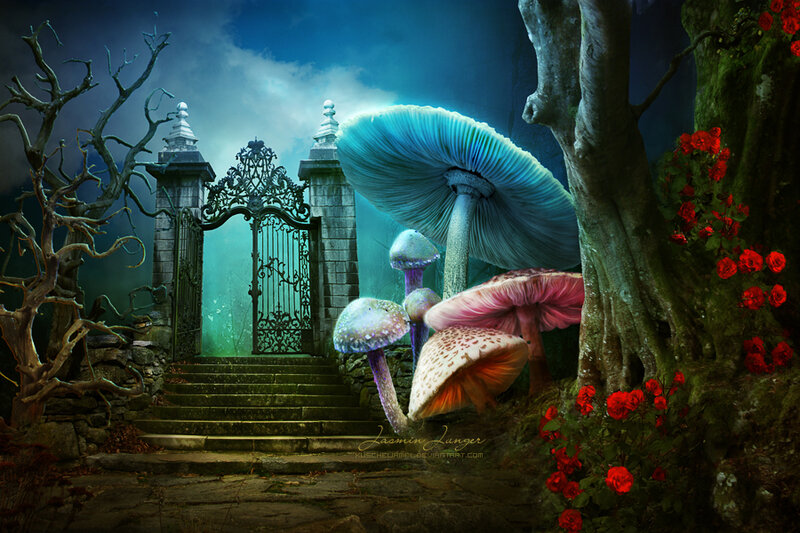 Fantasy Mushrooms and Gate