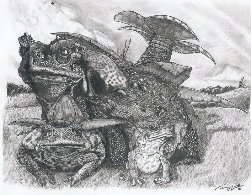 fantasy toad creatures