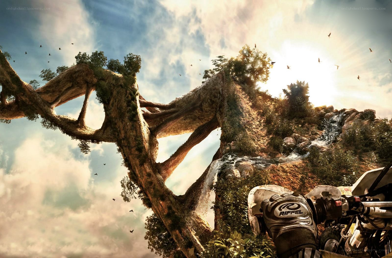 Fantasy tree landscape with motorcycle