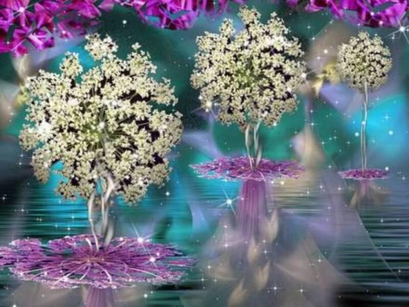 Fantasy Trees in Water