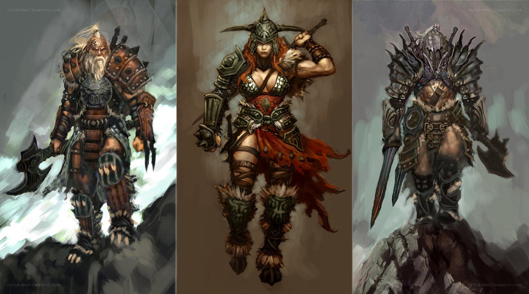 Fantasy warrior concept art