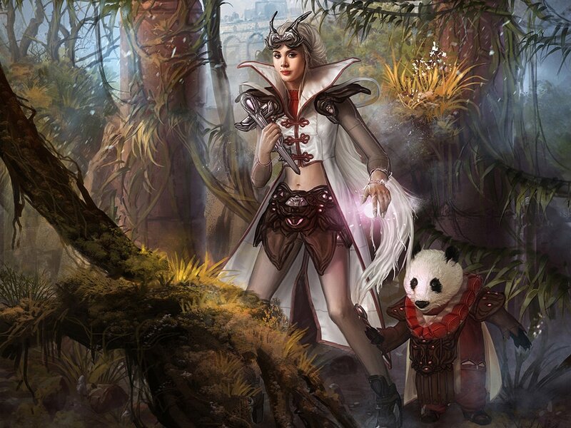 Fantasy warrior with panda companion