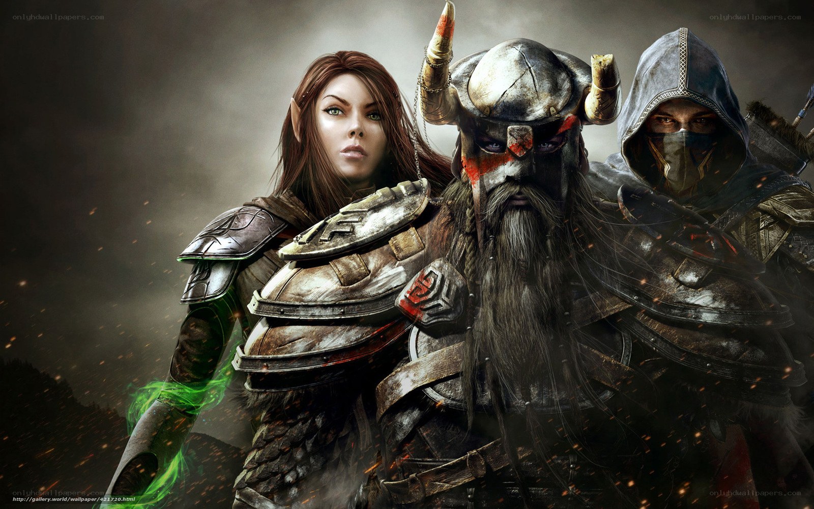 fantasy warriors in battle