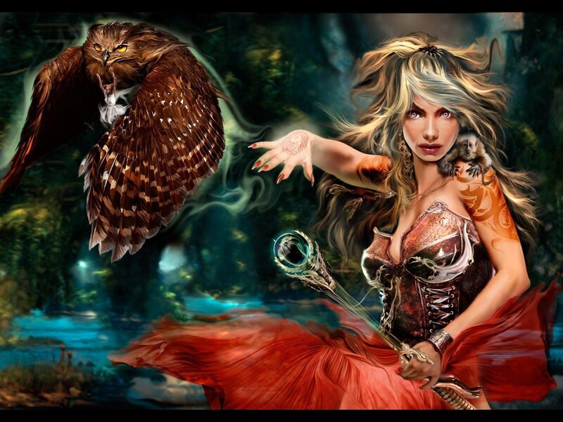 fantasy witch with owl