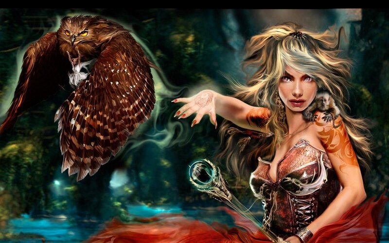 fantasy witch with owl