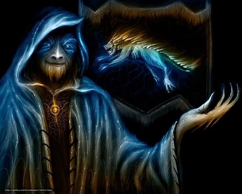 fantasy wizard with beast