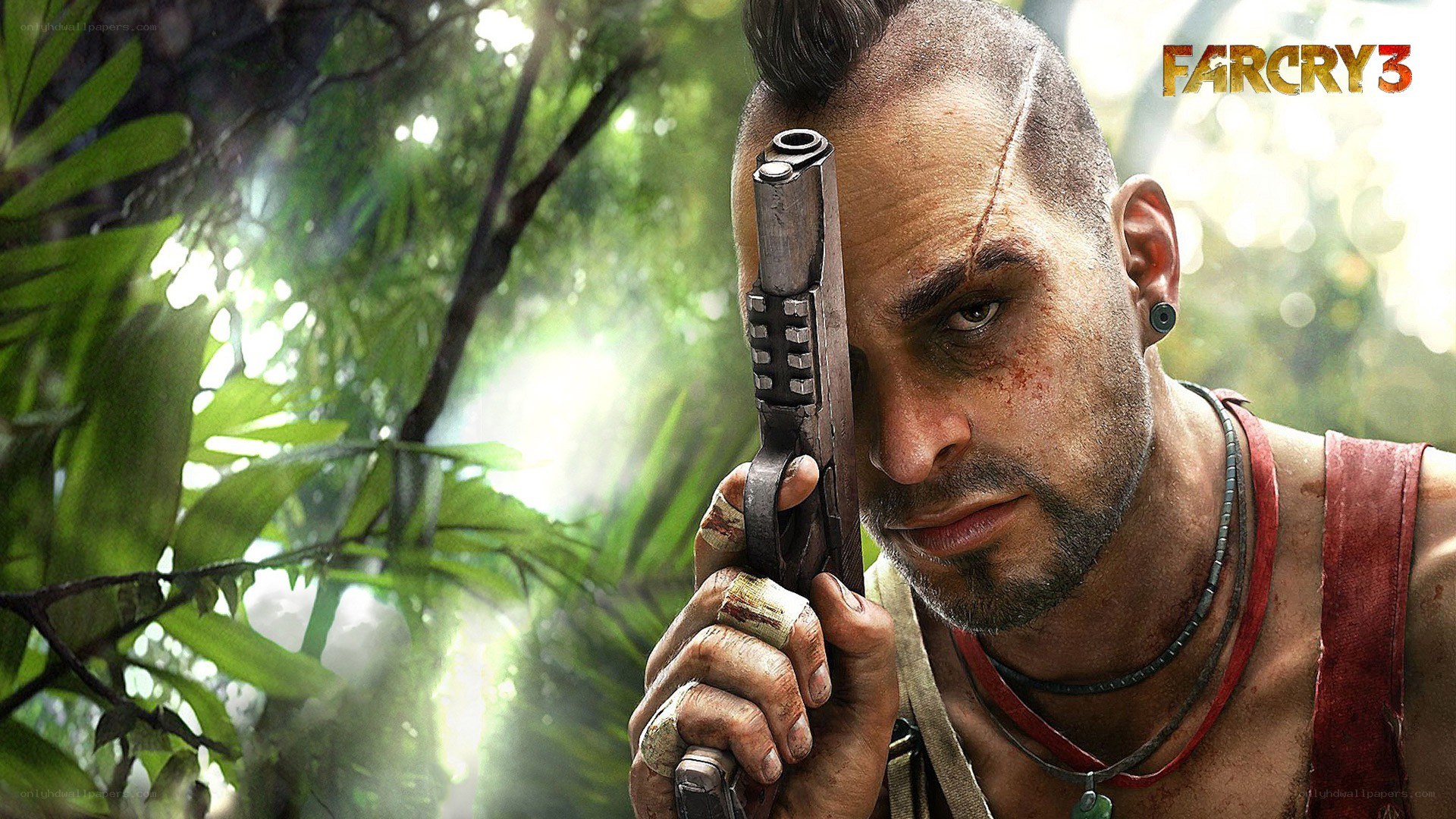 Far Cry 3 game cover art