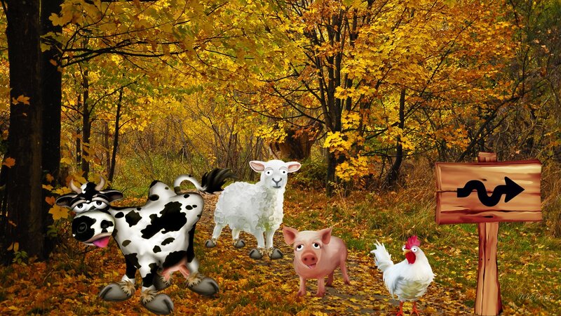 Farm Animals in Forest