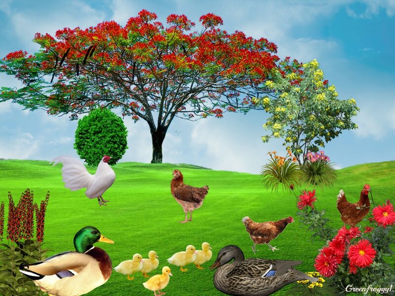 Farm Animals in Garden — Green