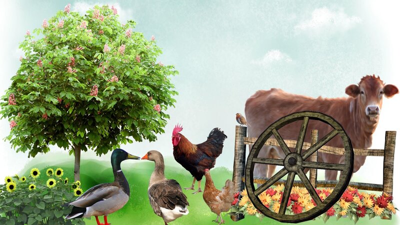 Farm Animals in Garden