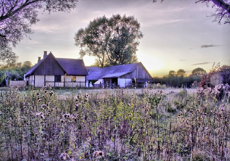 Farm at sunset