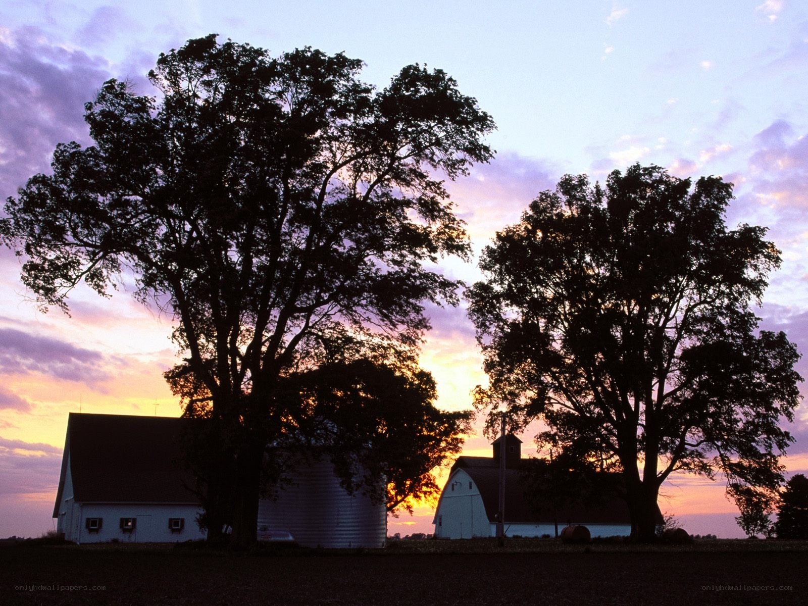Farm at sunset with silos