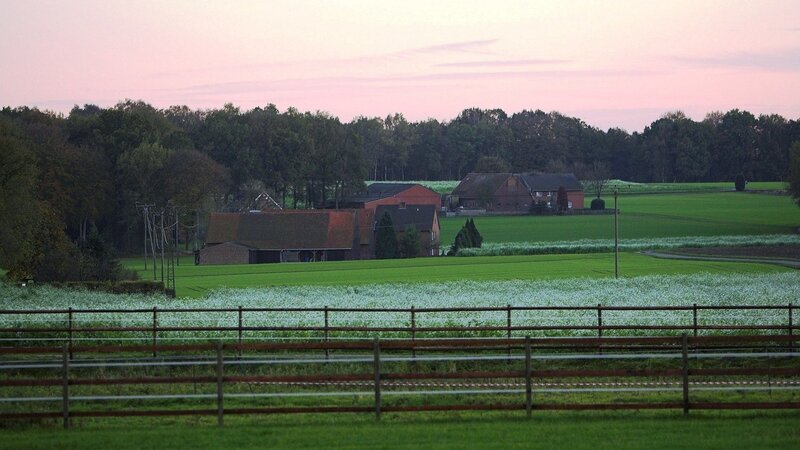 Farm Buildings at Dusk — Green, Serene, Sunset, Photograph