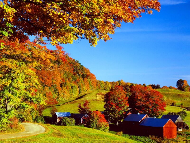 Farm Buildings in Autumn — Blue, Serene