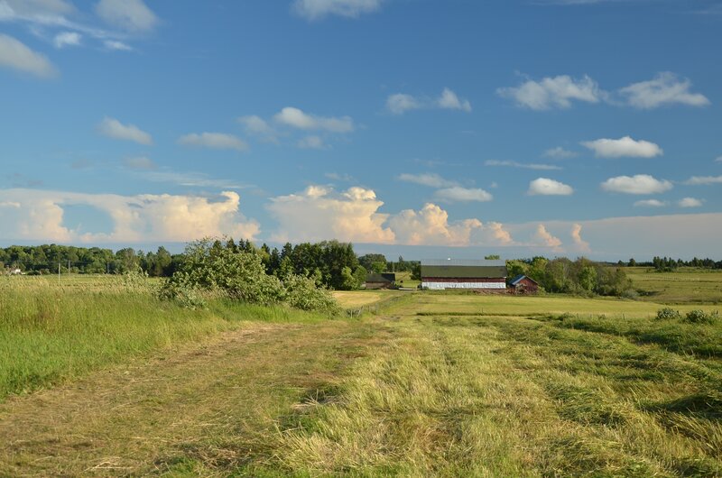Farm Buildings in Field — Blue, Serene