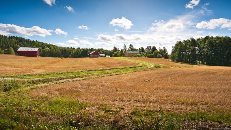 Farm Buildings in Field — Blue
