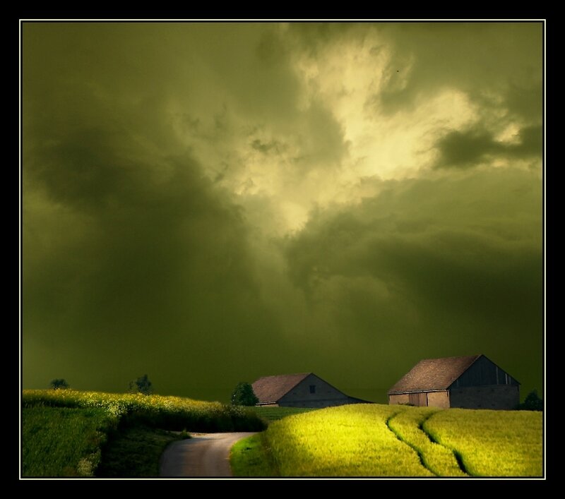 Farm Buildings in Field