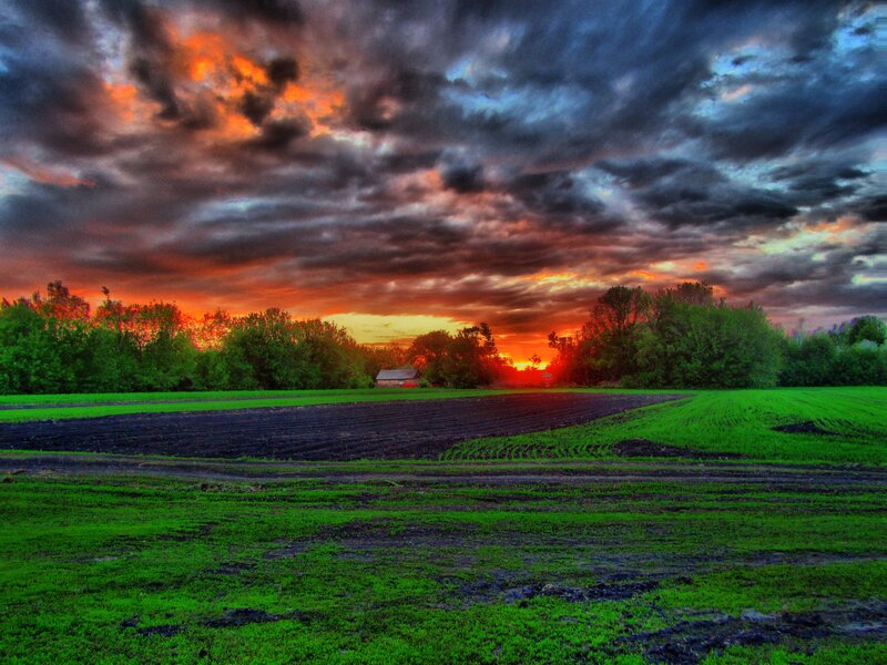 Farm Field at Sunset
