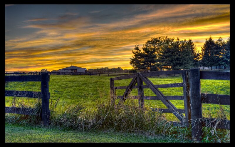Farm gate at sunset