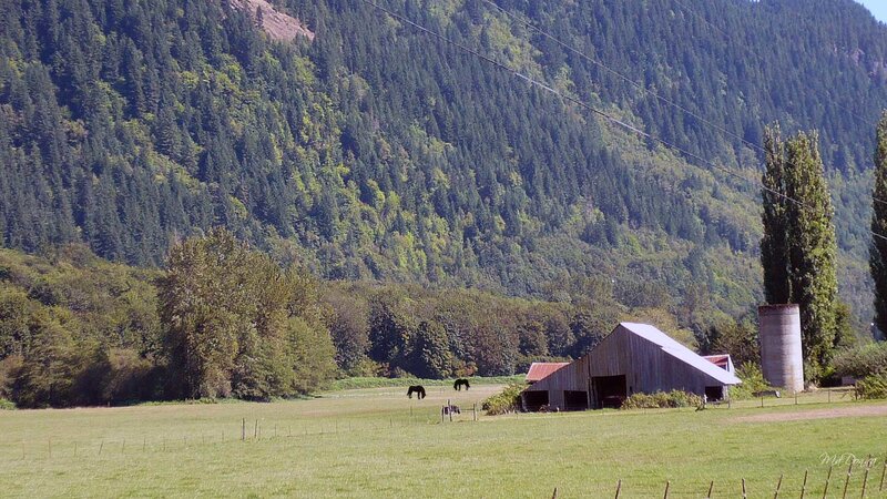 Farm in a mountain valley