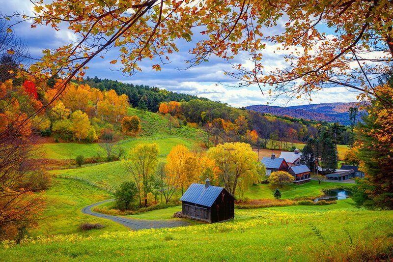Farm in Autumn Landscape — Green, Serene