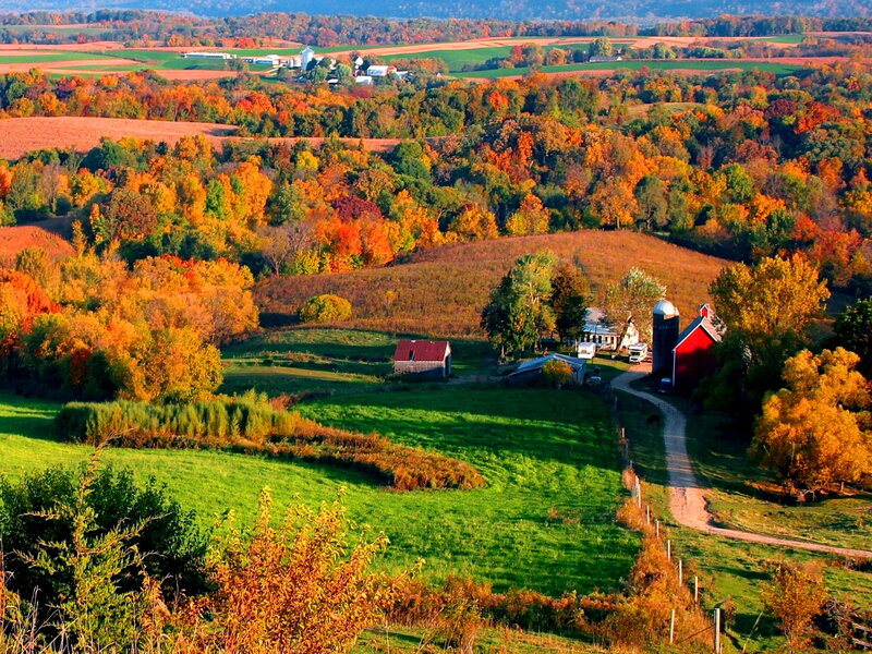 Farm in Autumn Landscape — Green