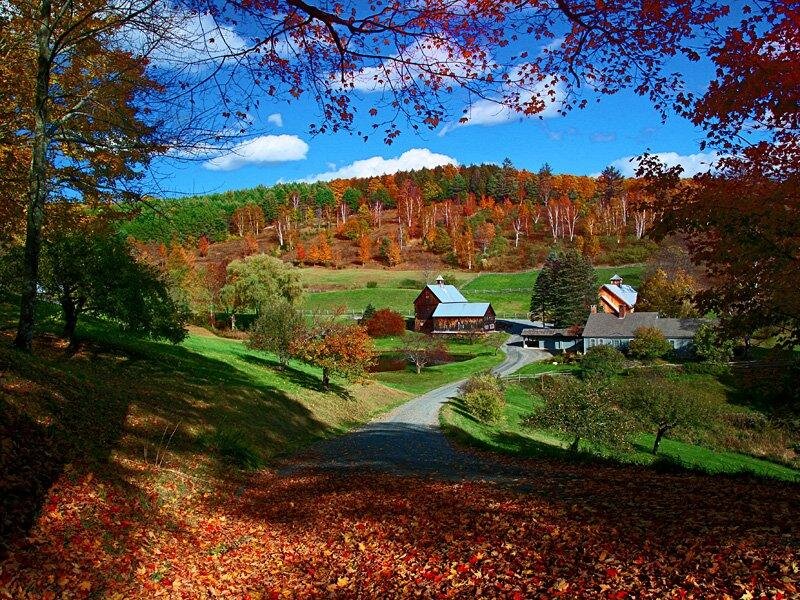 Farm in Autumn Landscape