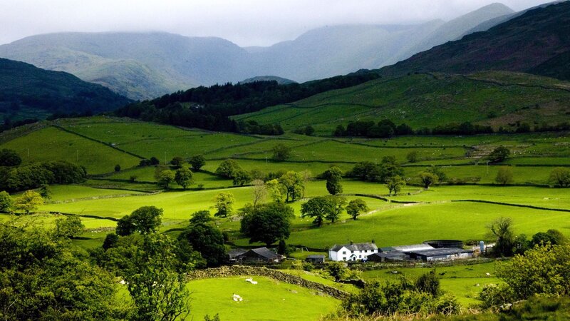 Farm in Green Valley — Serene