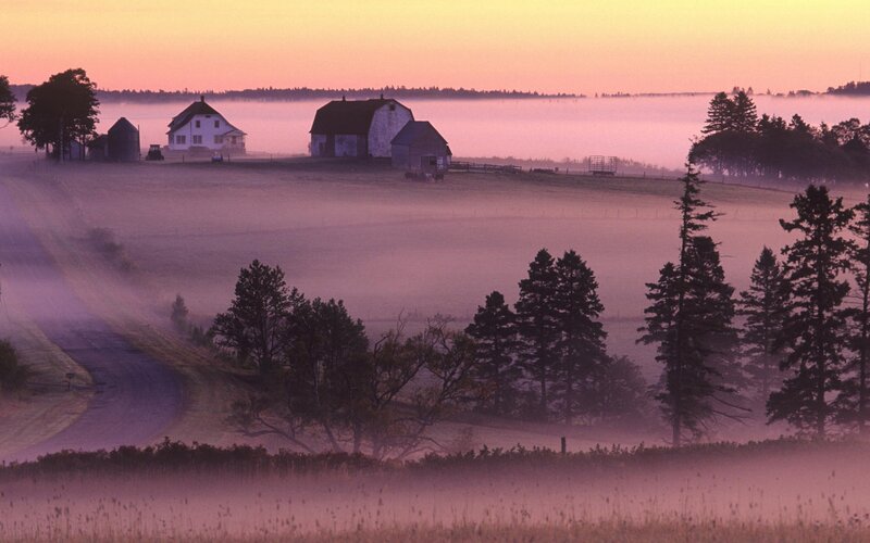 Farm in Morning Fog