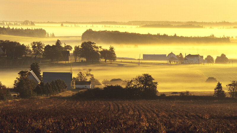 Farm in Morning Mist
