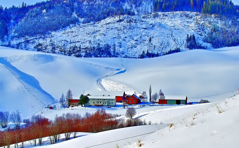 Farm in Snowy Valley