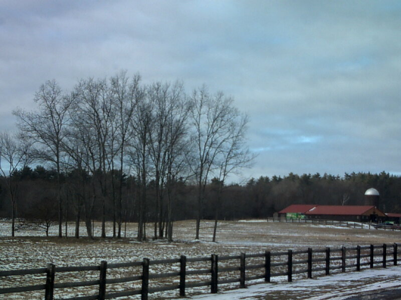 Farm in winter landscape