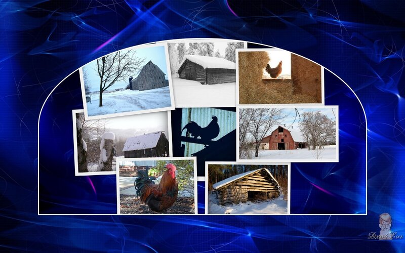 Farm life collage