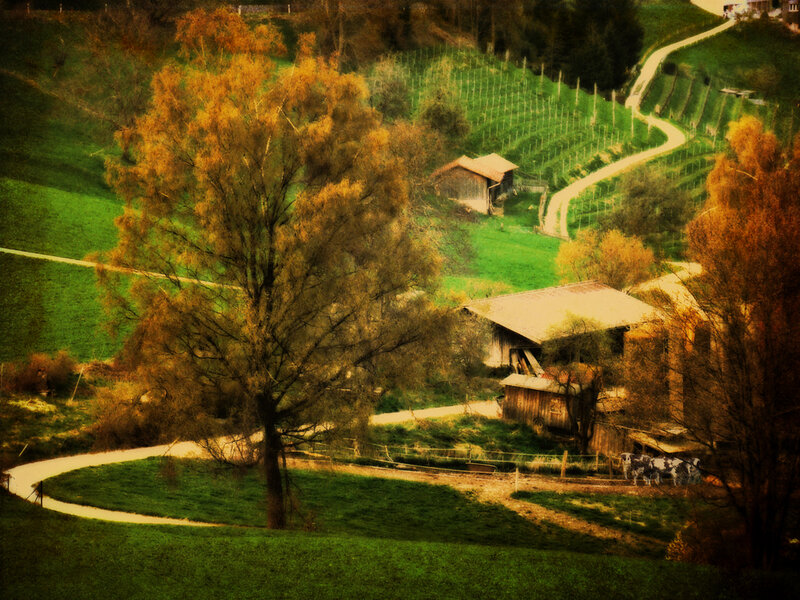Farm on a Hillside