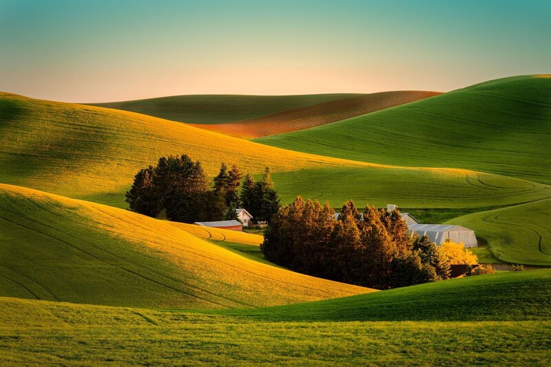 Farm on Rolling Hills — Green, Serene, Sunset