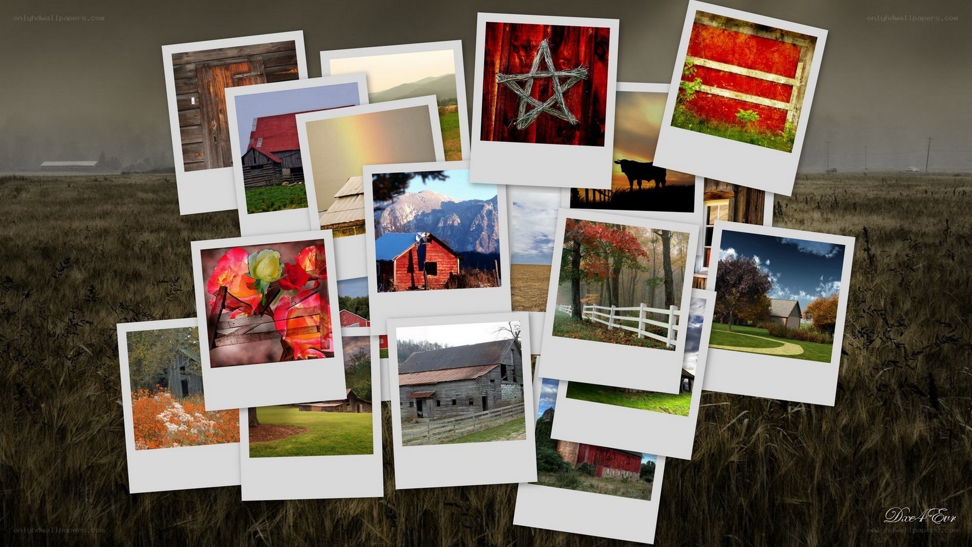 Farm photos collage