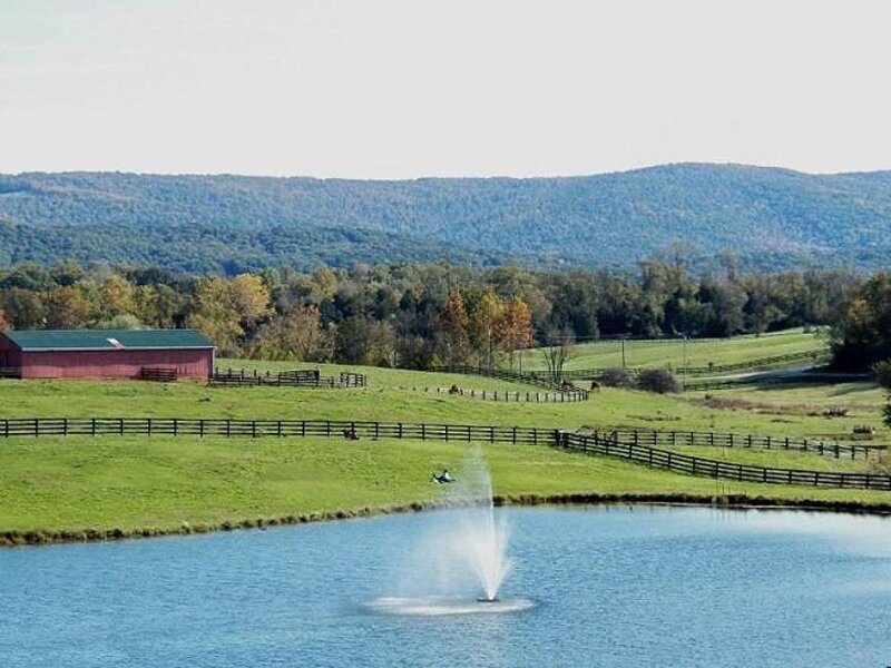 Farm Pond with Fountain