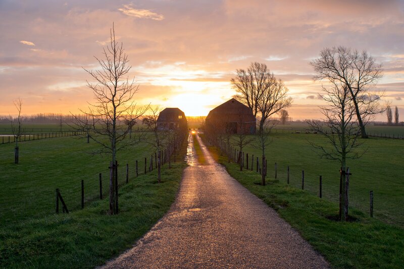 Farm Road at Sunset