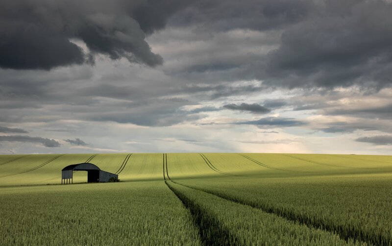 Farm Shed in Field