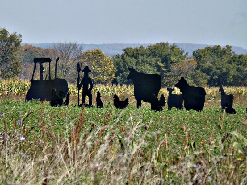 Farm Silhouettes in Field