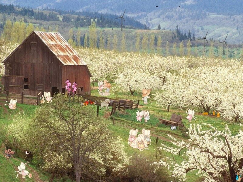 Farm with Barn and Blossoms