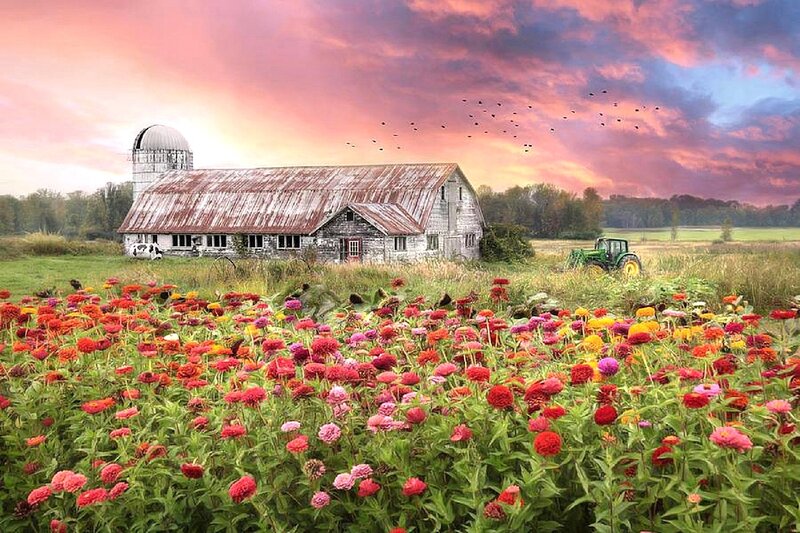 Farm with Barn and Flowers