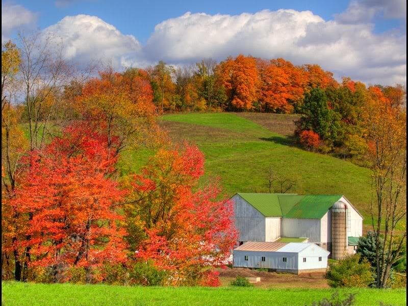 Farm with Barn and Silo — Green