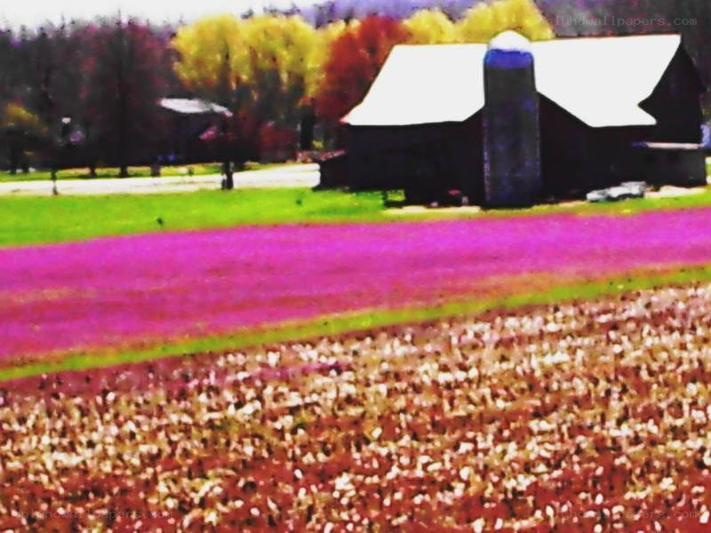 Farm with barn and silo