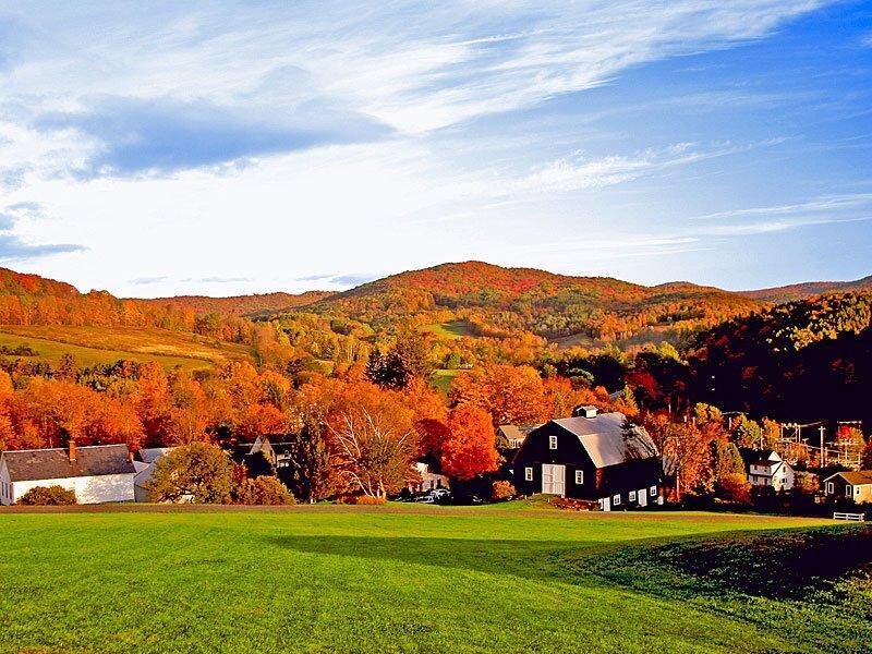 Farm with Barn and Trees
