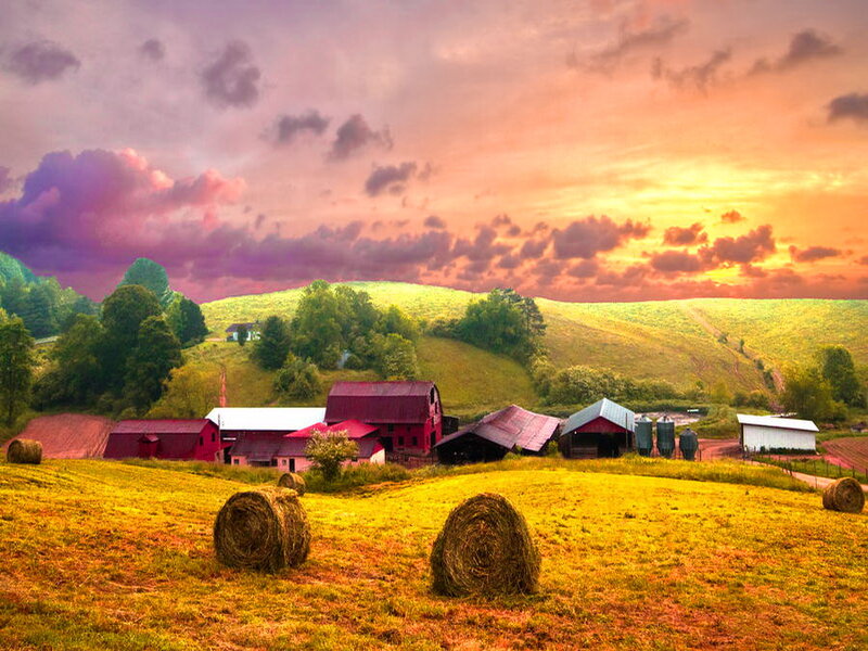 Farm with Hay Bales