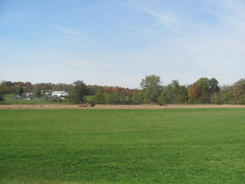 Farm with Horses