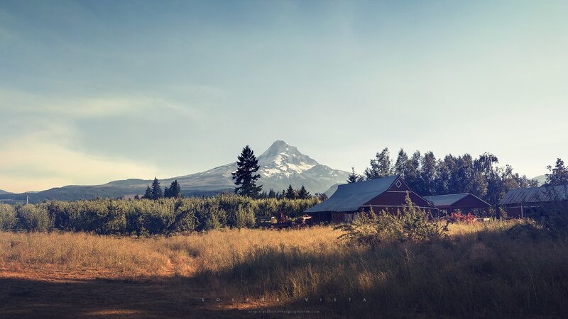 Farm with Mountain